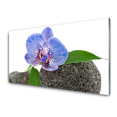 Quadro de vidro Flor Planta Natureza