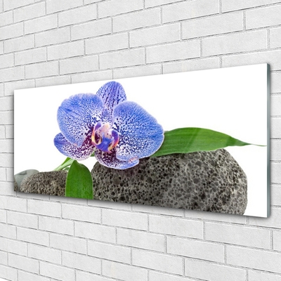Quadro de vidro Flor Planta Natureza