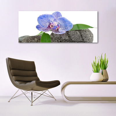 Quadro de vidro Flor Planta Natureza