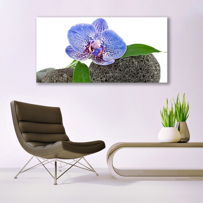 Quadro de vidro Flor Planta Natureza