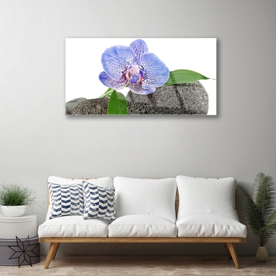 Quadro de vidro Flor Planta Natureza