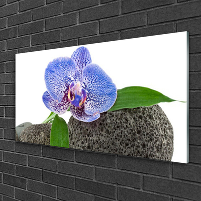 Quadro de vidro Flor Planta Natureza