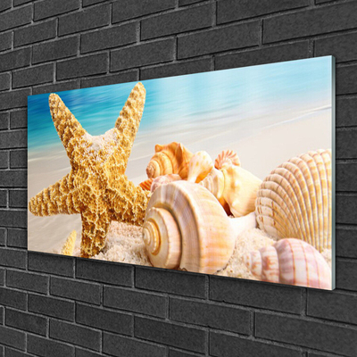 Quadro de vidro Arte em conchas de estrelas do mar