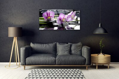 Quadro de vidro Planta de orquídea flor