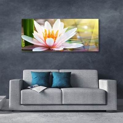 Quadro de vidro Flores Planta Natureza