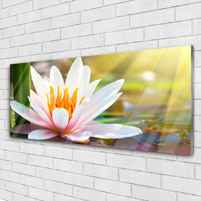 Quadro de vidro Flores Planta Natureza