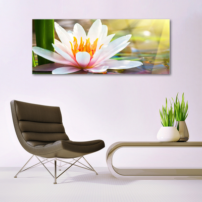 Quadro de vidro Flores Planta Natureza