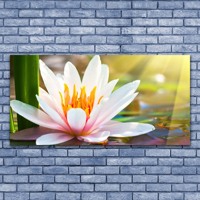 Quadro de vidro Flores Planta Natureza