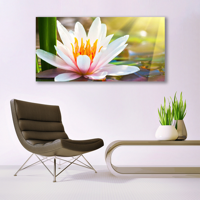 Quadro de vidro Flores Planta Natureza