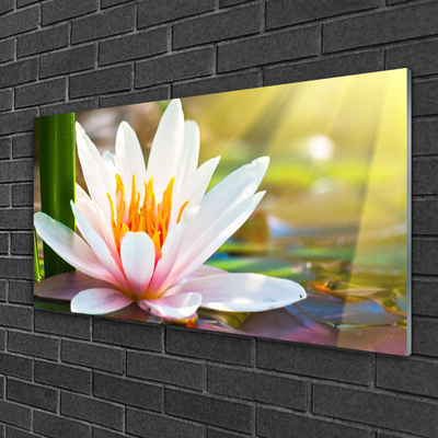 Quadro de vidro Flores Planta Natureza