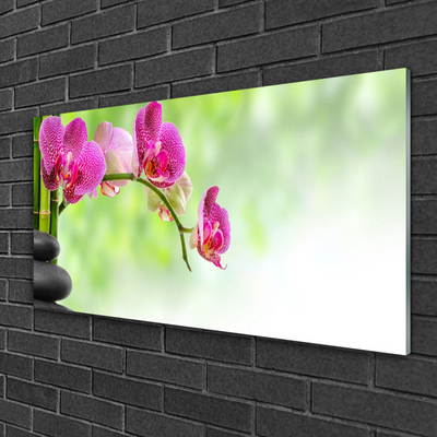 Quadro de vidro Flor Natureza Bambu