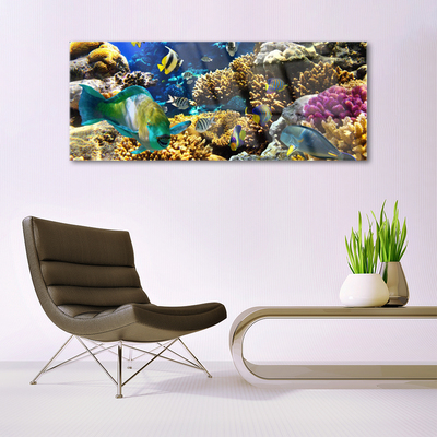Quadro de vidro Natureza dos recifes de corais