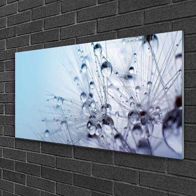 Quadro de vidro Planta dente-de-leão