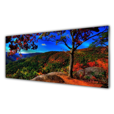 Quadro de vidro Natureza da Floresta da Montanha