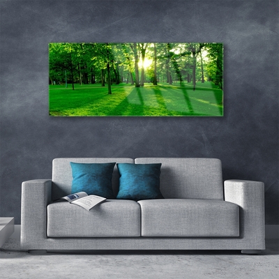 Quadro de vidro Parque Florestal Natureza