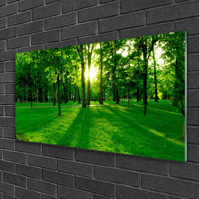 Quadro de vidro Parque Florestal Natureza