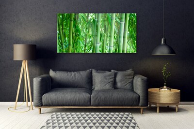 Quadro de vidro Planta de caule de bambu