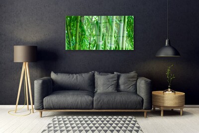 Quadro de vidro Planta de caule de bambu