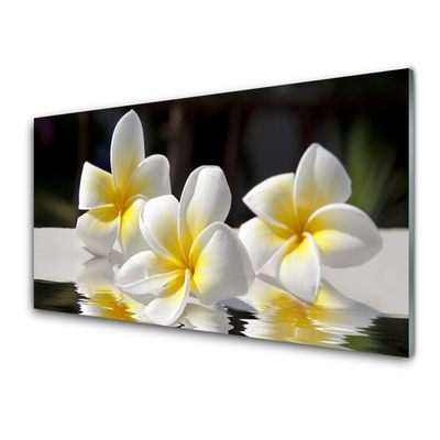 Quadro de vidro Flores Planta Natureza