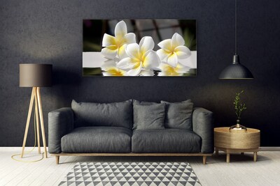 Quadro de vidro Flores Planta Natureza