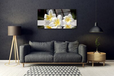 Quadro de vidro Flores Planta Natureza