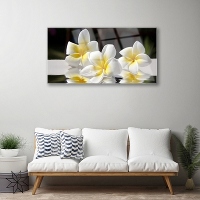 Quadro de vidro Flores Planta Natureza