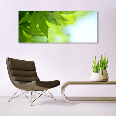 Quadro de vidro Folhas Natureza Planta