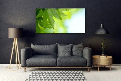 Quadro de vidro Folhas Natureza Planta