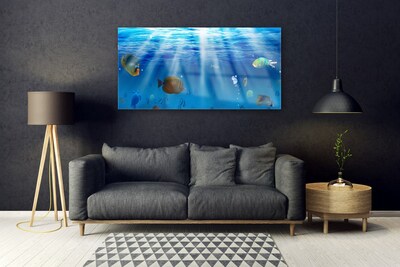 Quadro de vidro Natureza dos peixes