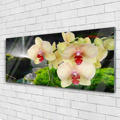 Pintura em vidro Árvores Natureza Planta