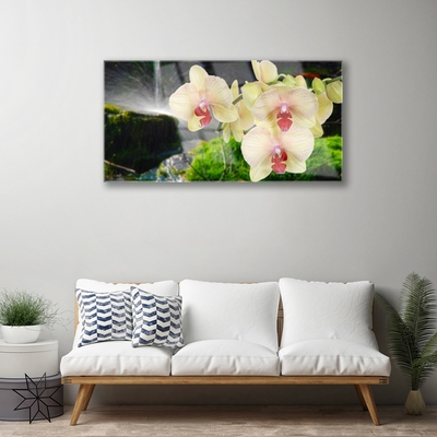 Pintura em vidro Árvores Natureza Planta