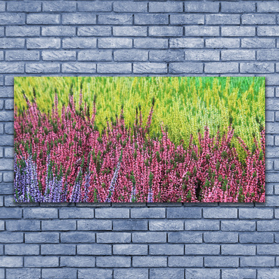Quadro de vidro Flor Planta Natureza