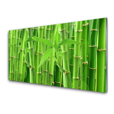 Quadro de vidro Planta de flor de caule de bambu