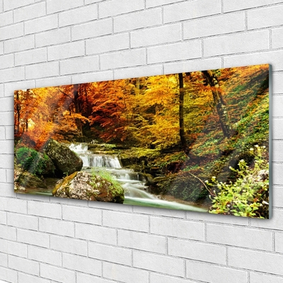 Quadro de vidro Floresta Natureza Cachoeira