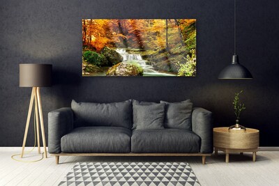 Quadro de vidro Floresta Natureza Cachoeira