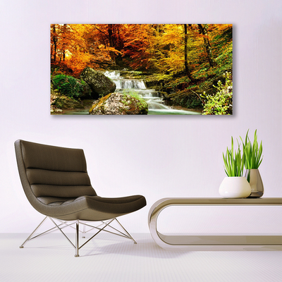 Quadro de vidro Floresta Natureza Cachoeira