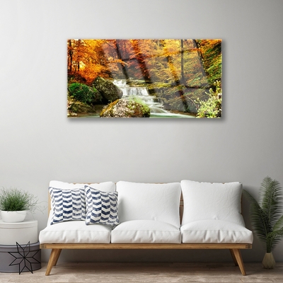 Quadro de vidro Floresta Natureza Cachoeira