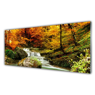 Quadro de vidro Floresta Natureza Cachoeira