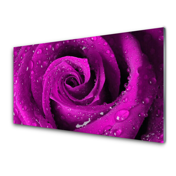 Pintura em vidro Rosa Flor Planta Natureza