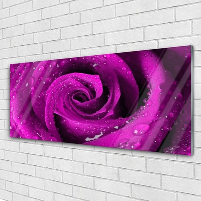 Pintura em vidro Rosa Flor Planta Natureza