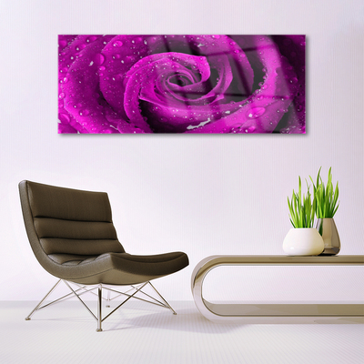 Pintura em vidro Rosa Flor Planta Natureza