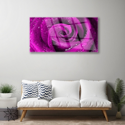 Pintura em vidro Rosa Flor Planta Natureza