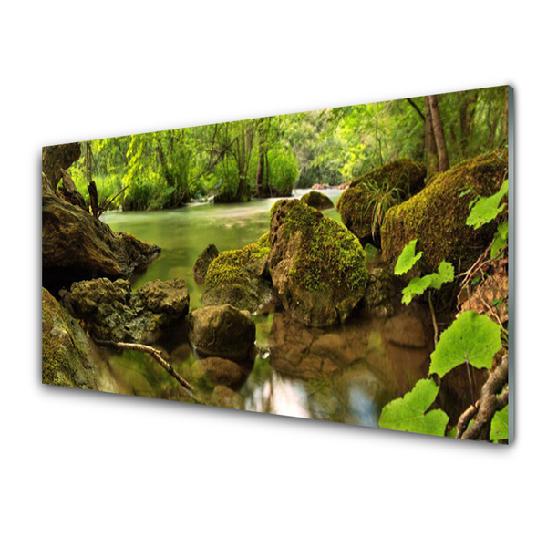 Quadro de vidro Natureza do Lago Rock