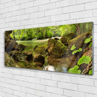 Quadro de vidro Natureza do Lago Rock