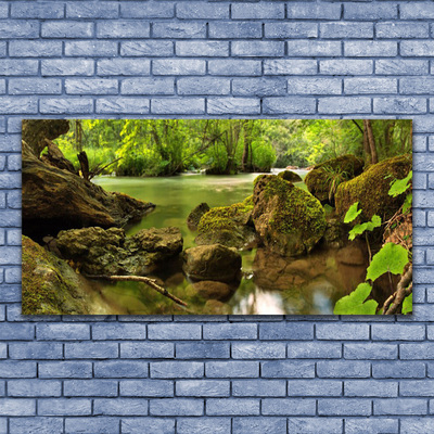 Quadro de vidro Natureza do Lago Rock