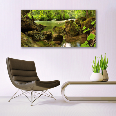 Quadro de vidro Natureza do Lago Rock