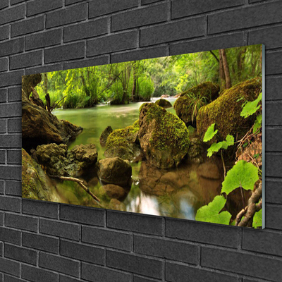 Quadro de vidro Natureza do Lago Rock