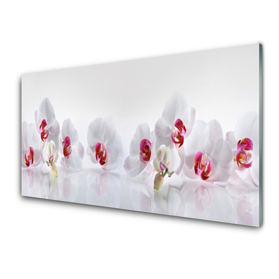 Pintura em vidro Flores Planta Natureza