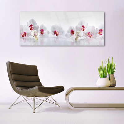 Pintura em vidro Flores Planta Natureza