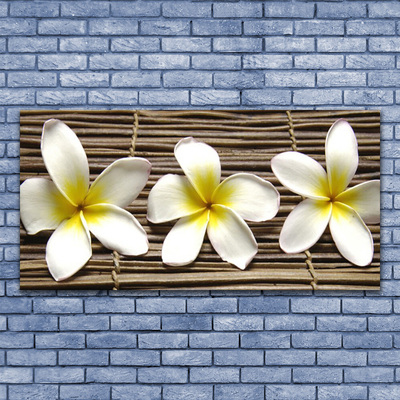 Quadro de vidro Flores Planta Natureza